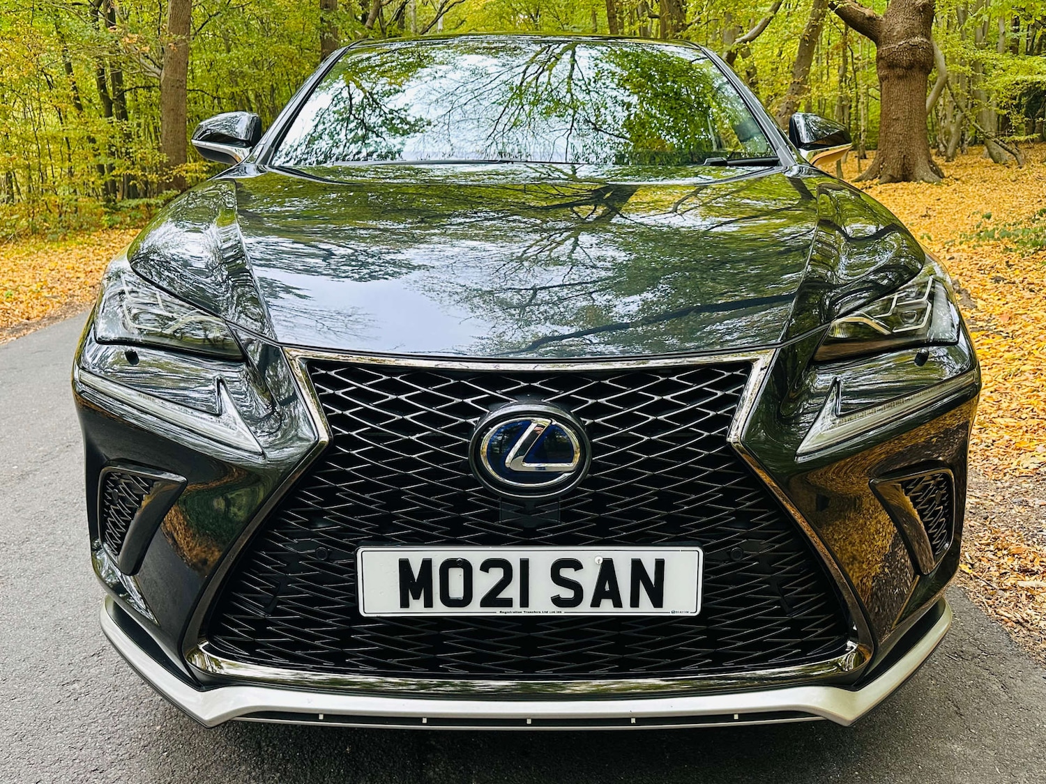 Used Lexus NX 2021 for sale - 76281745: Photo 3