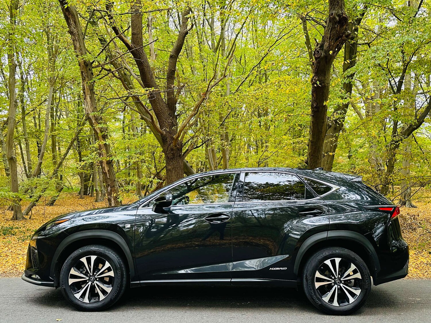 Used Lexus NX 2021 for sale - 76281745: Photo 39