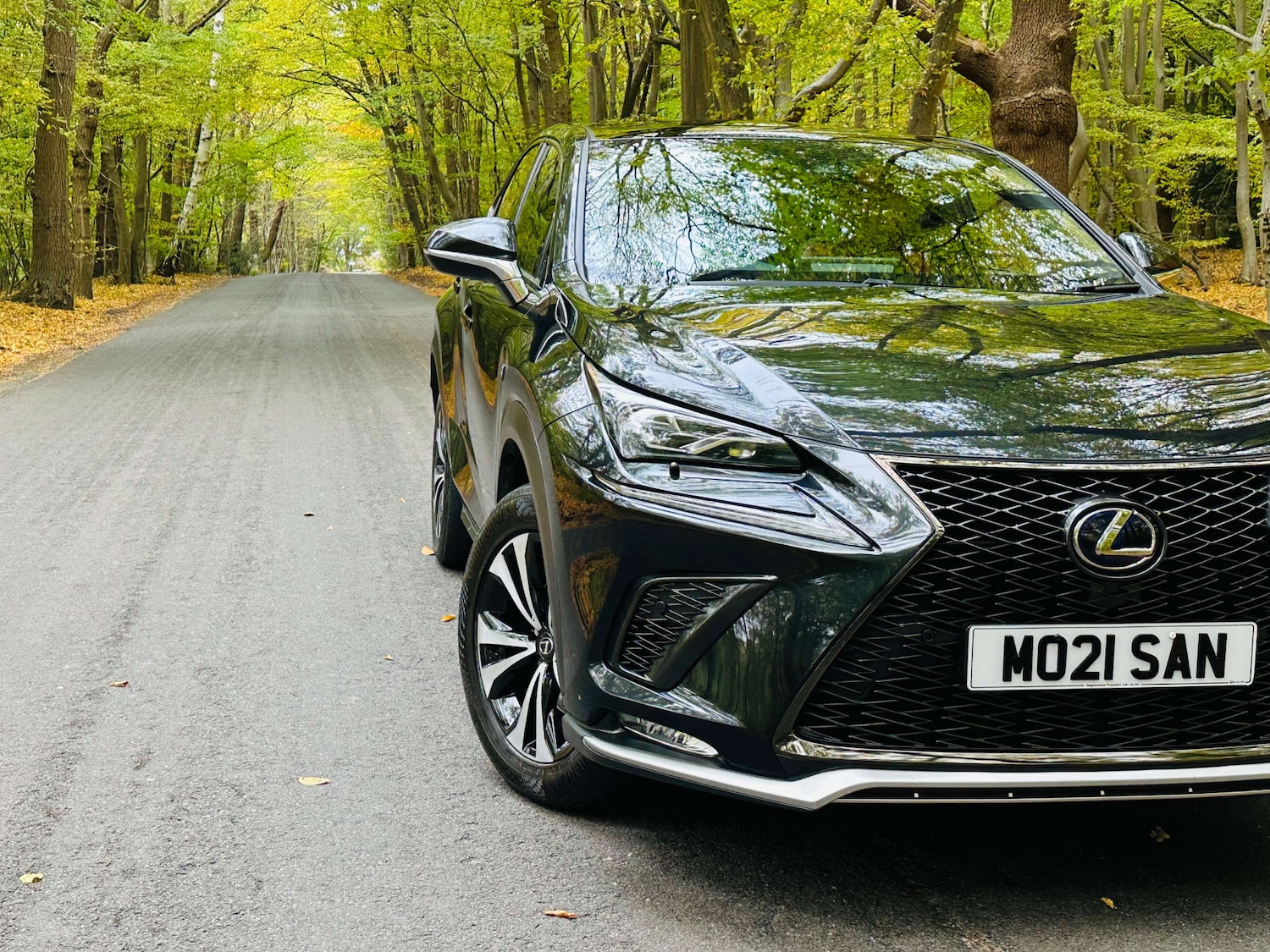 Used Lexus NX 2021 for sale - 76281745: Photo 4