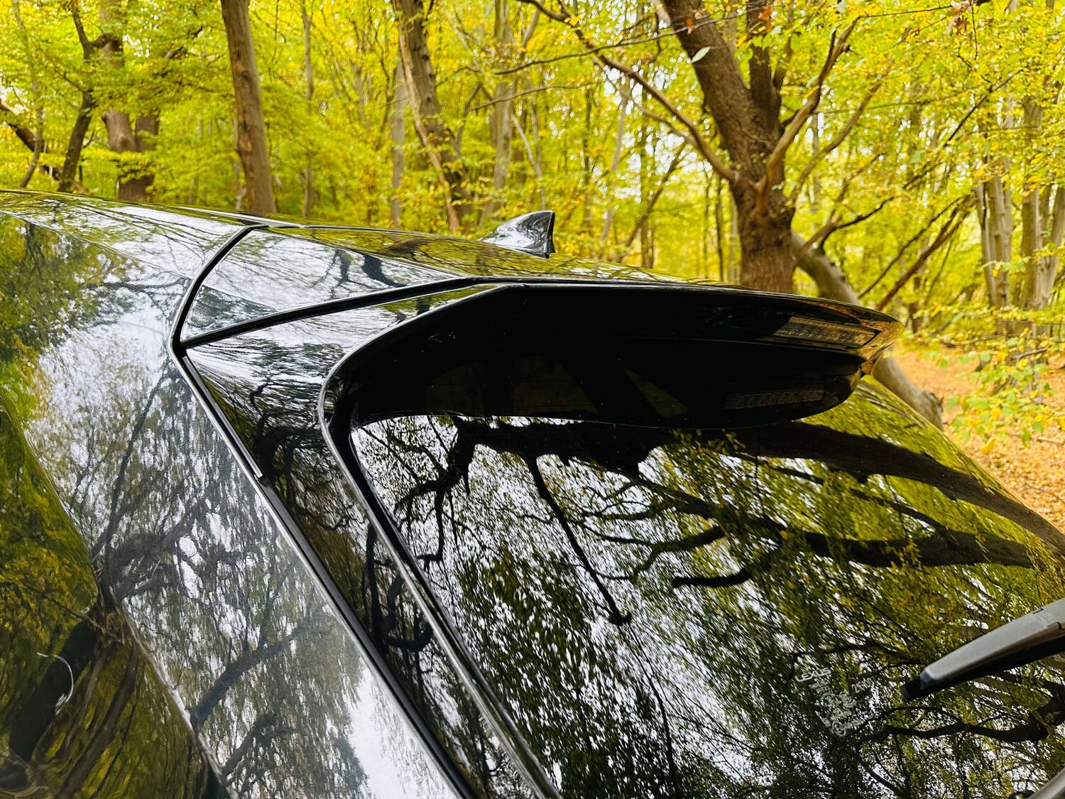 Used Lexus NX 2021 for sale - 76281745: Photo 42