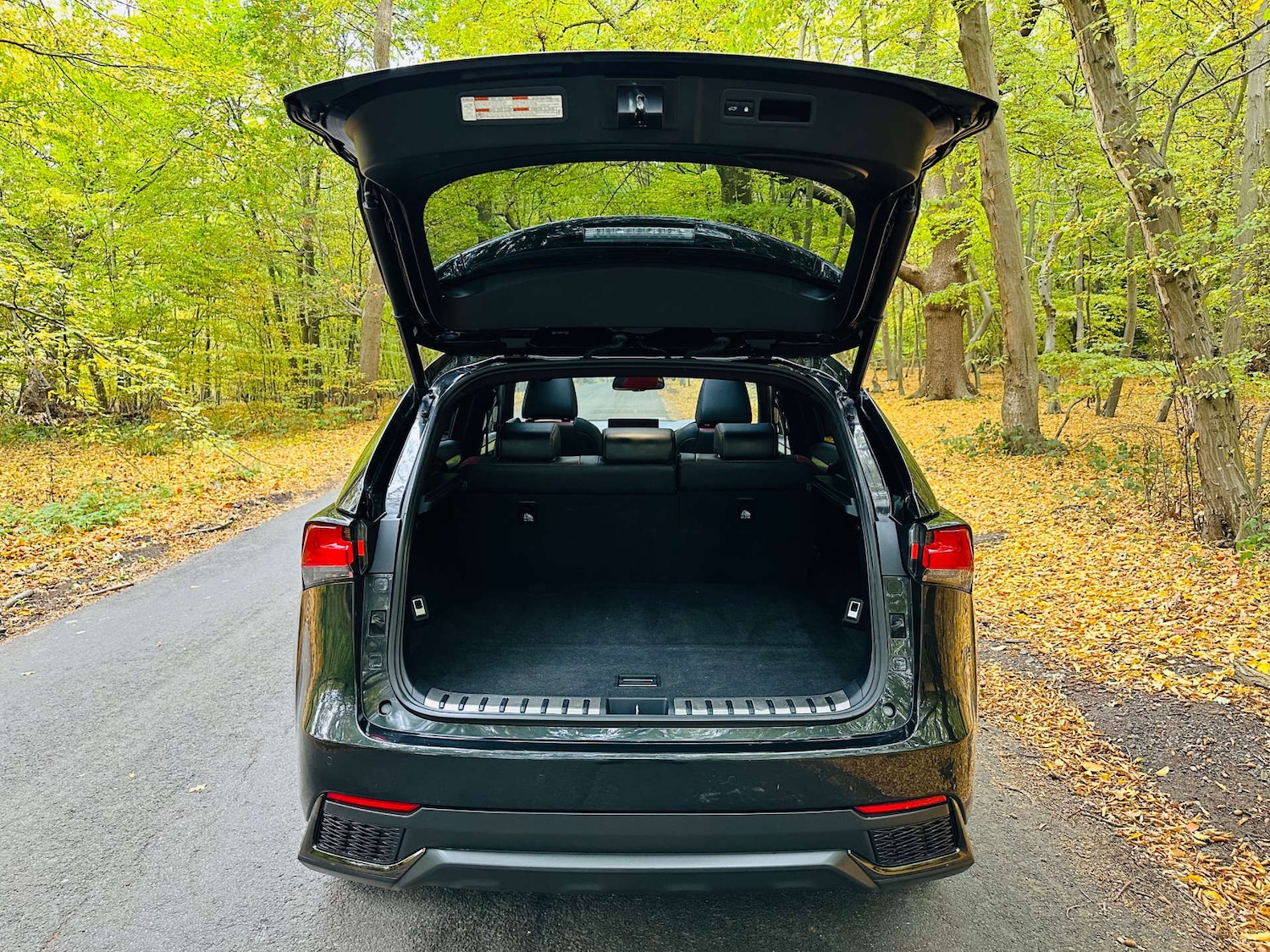 Used Lexus NX 2021 for sale - 76281745: Photo 45