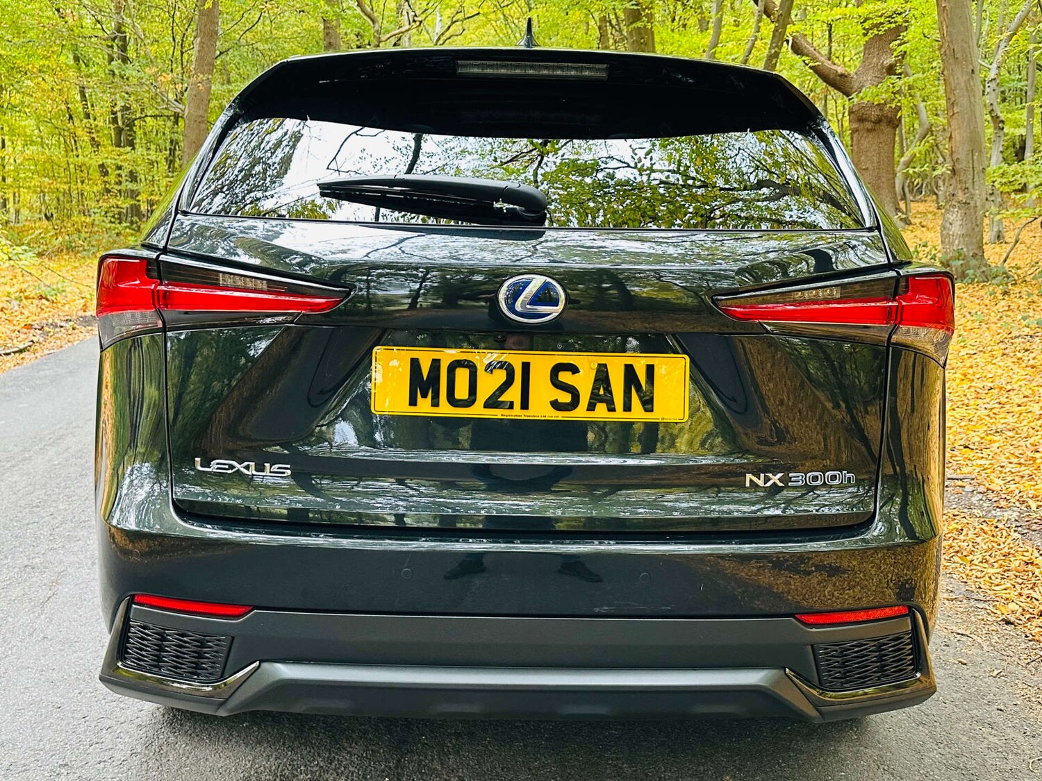 Used Lexus NX 2021 for sale - 76281745: Photo 48