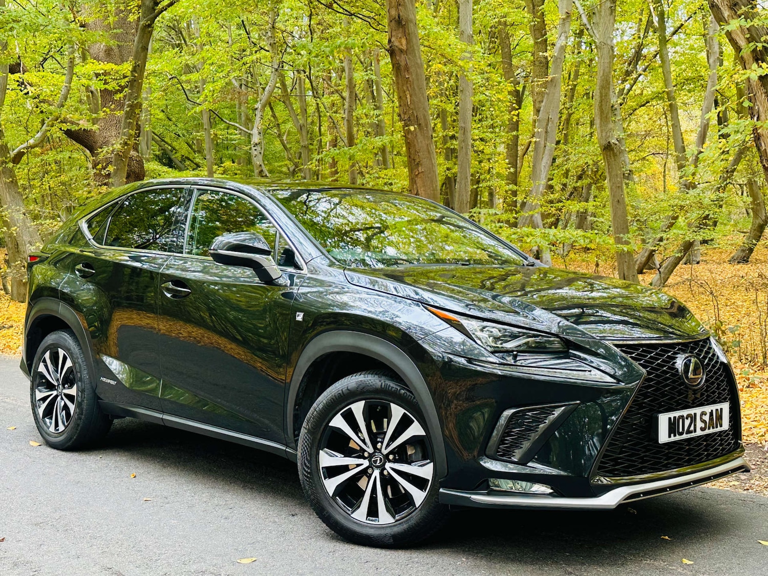 Used Lexus NX 2021 for sale - 76281745: Photo 5
