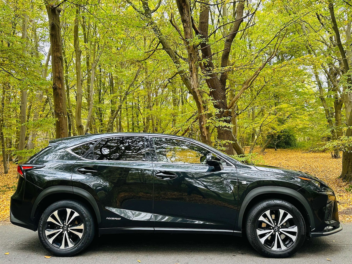 Used Lexus NX 2021 for sale - 76281745: Photo 52