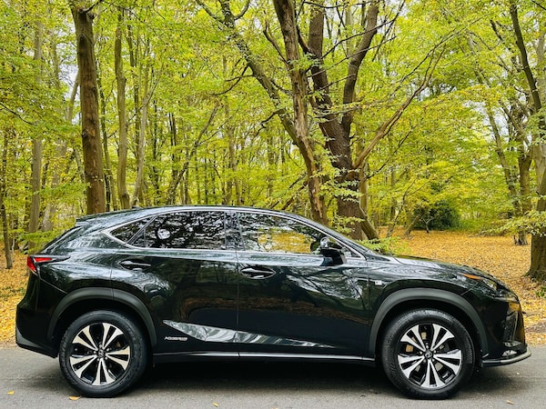 Used Lexus NX 2021 for sale - 76281745: Photo 52