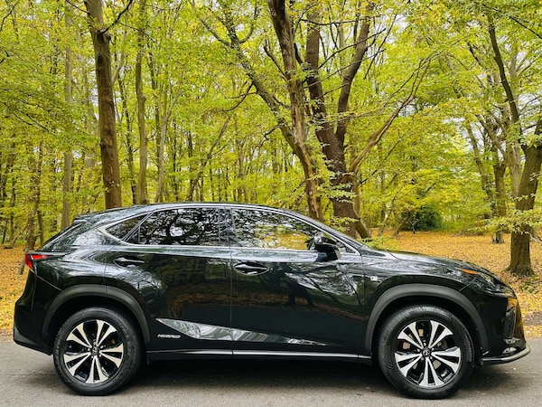 Used Lexus NX 2021 for sale - 76281745: Photo 53