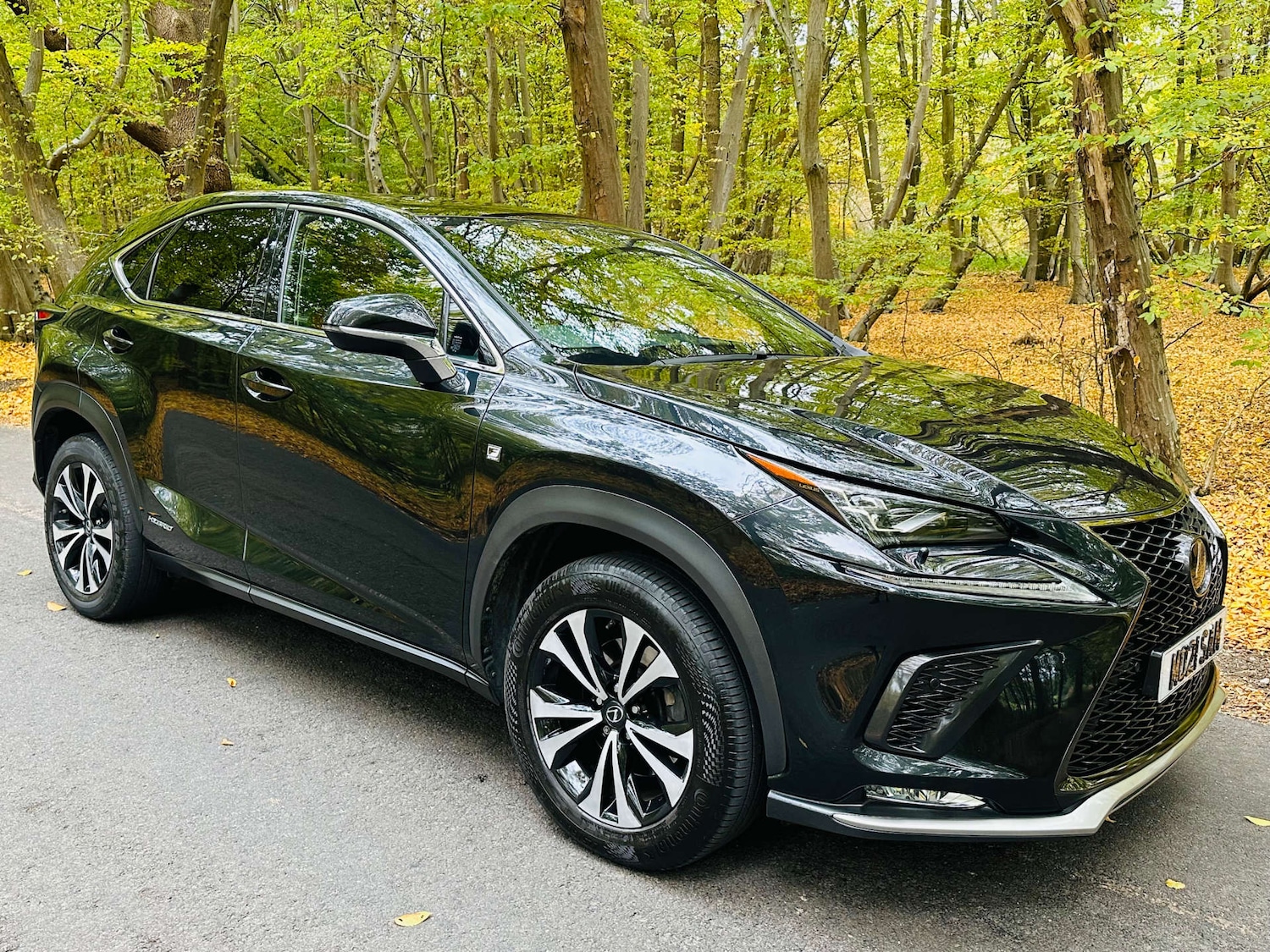 Used Lexus NX 2021 for sale - 76281745: Photo 58