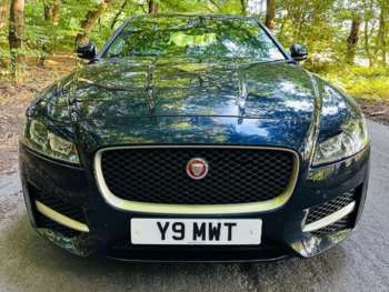 Used Jaguar XF 2019 for sale - 75210133: Photo