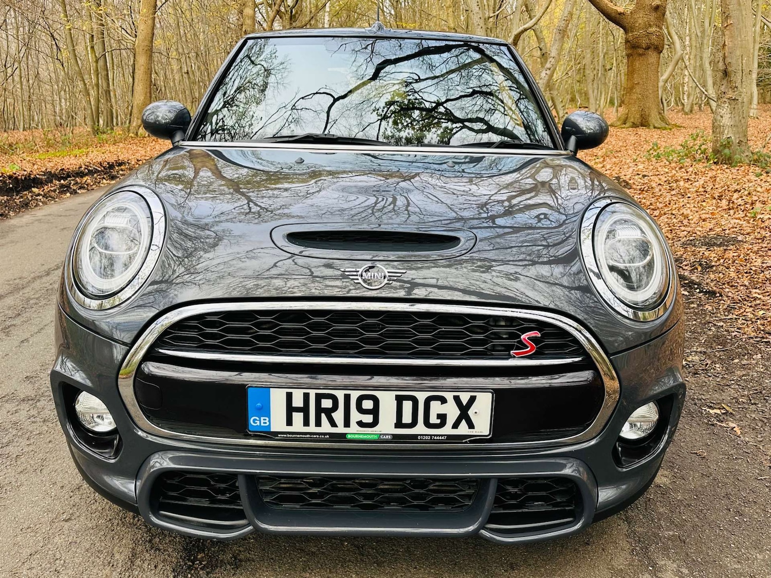 Used MINI Convertible 2019 for sale - 76694814: Photo 3