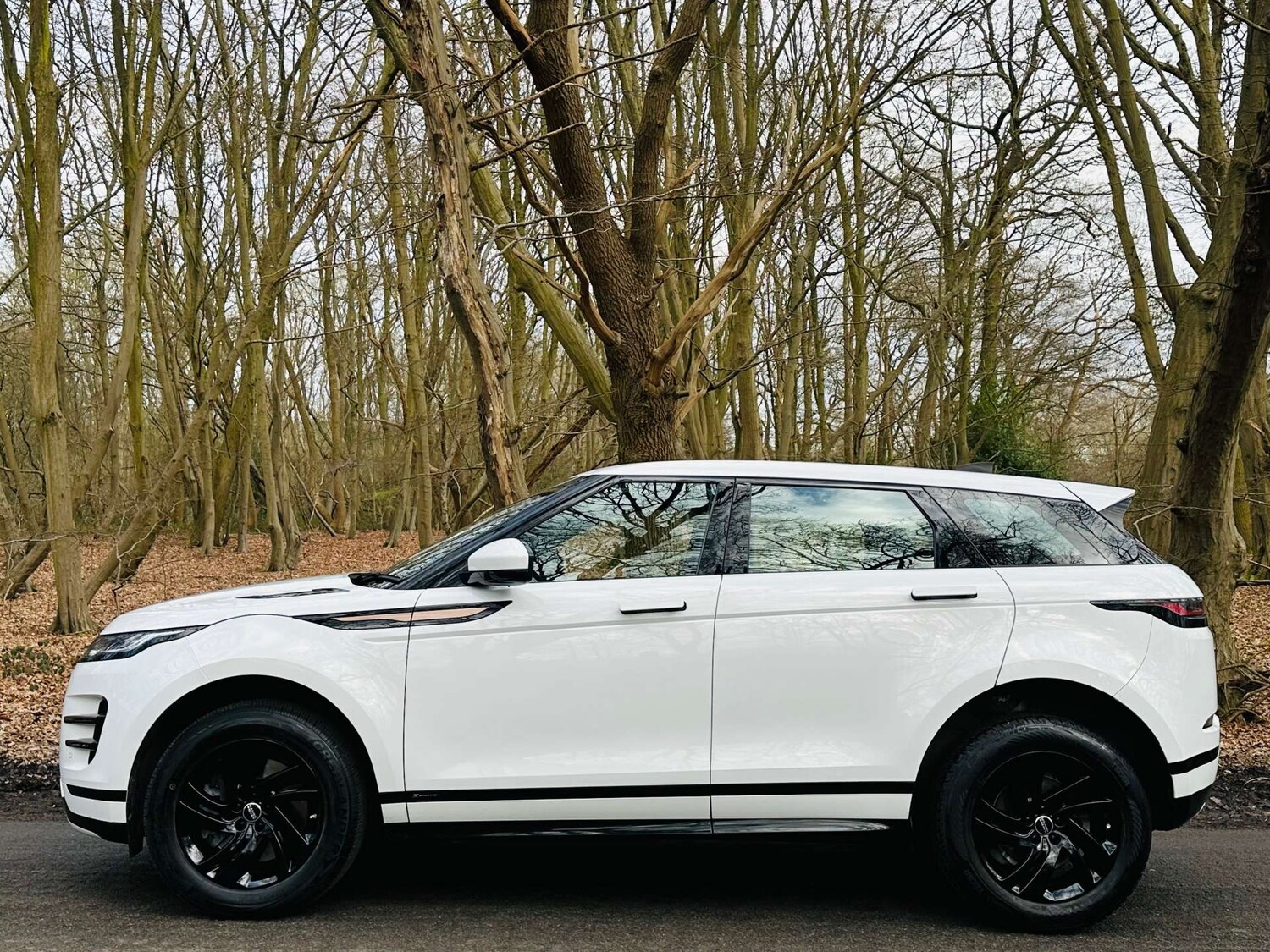 Used Land Rover Range Rover Evoque 2019 for sale - 77693764: Photo 33