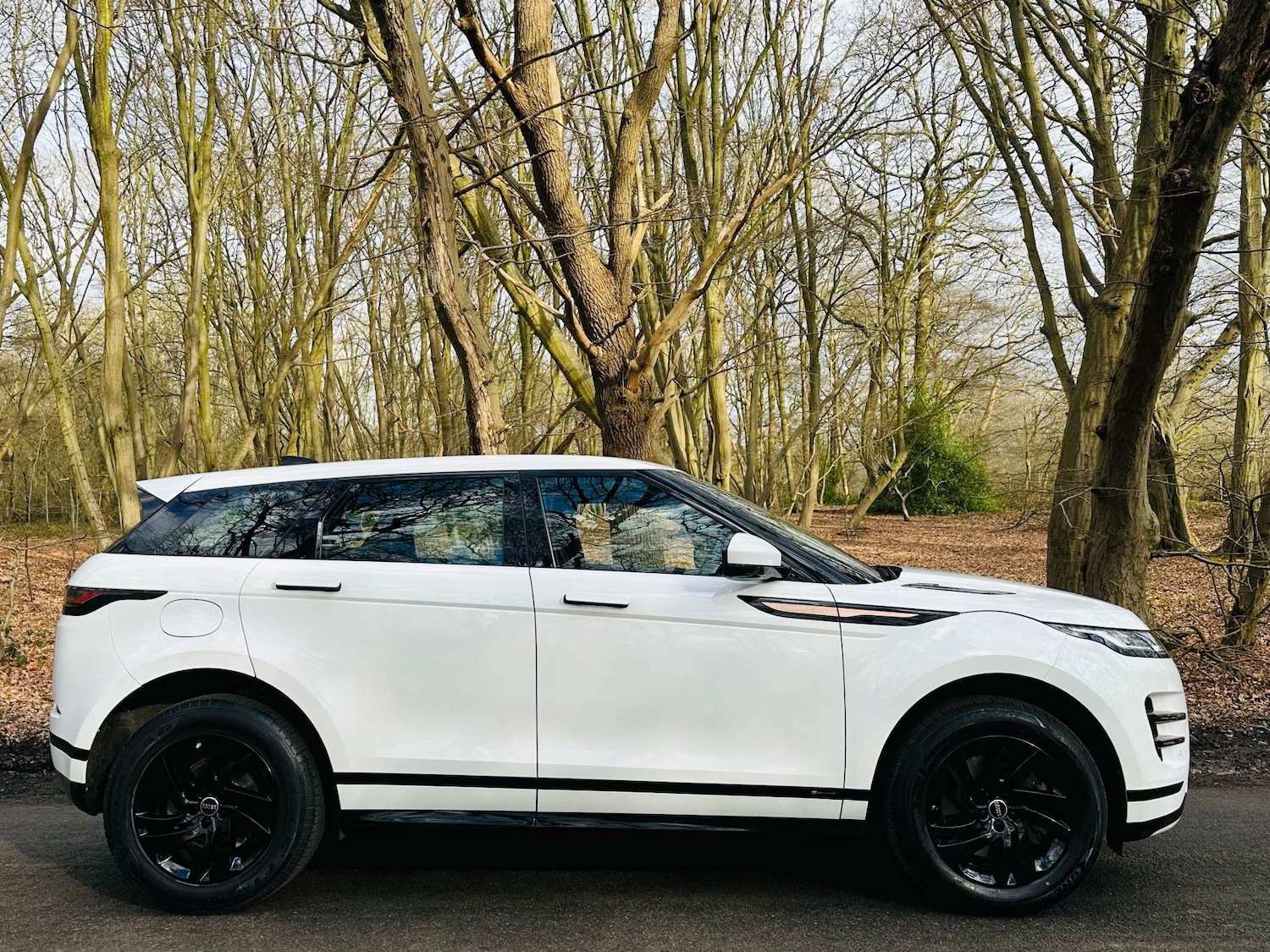 Used Land Rover Range Rover Evoque 2019 for sale - 77693764: Photo 43