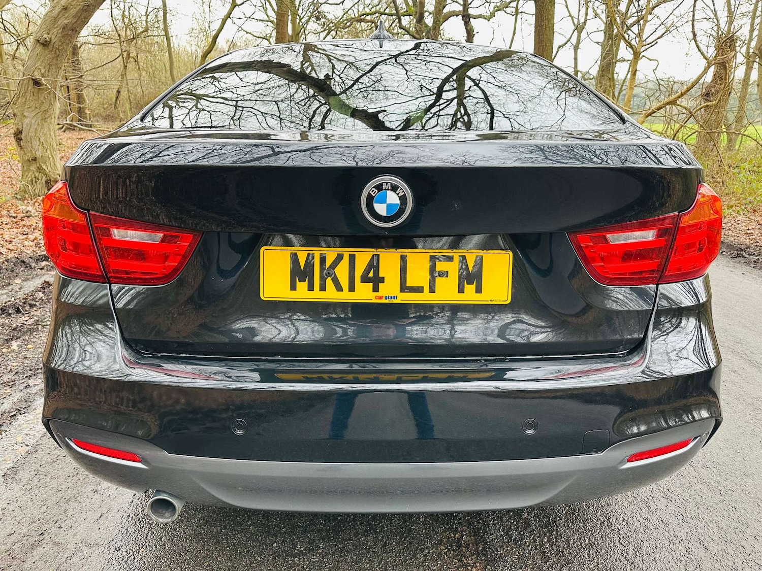 Used BMW 3 Series 2014 for sale - 77492531: Photo 34