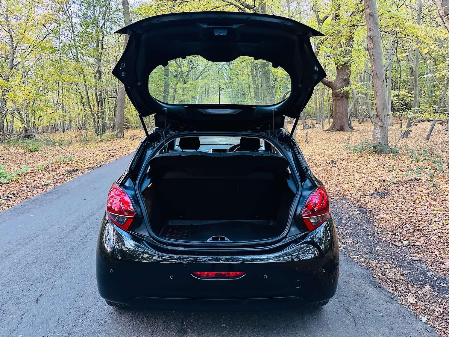 Used Peugeot 208 2018 for sale - 76385764: Photo 35
