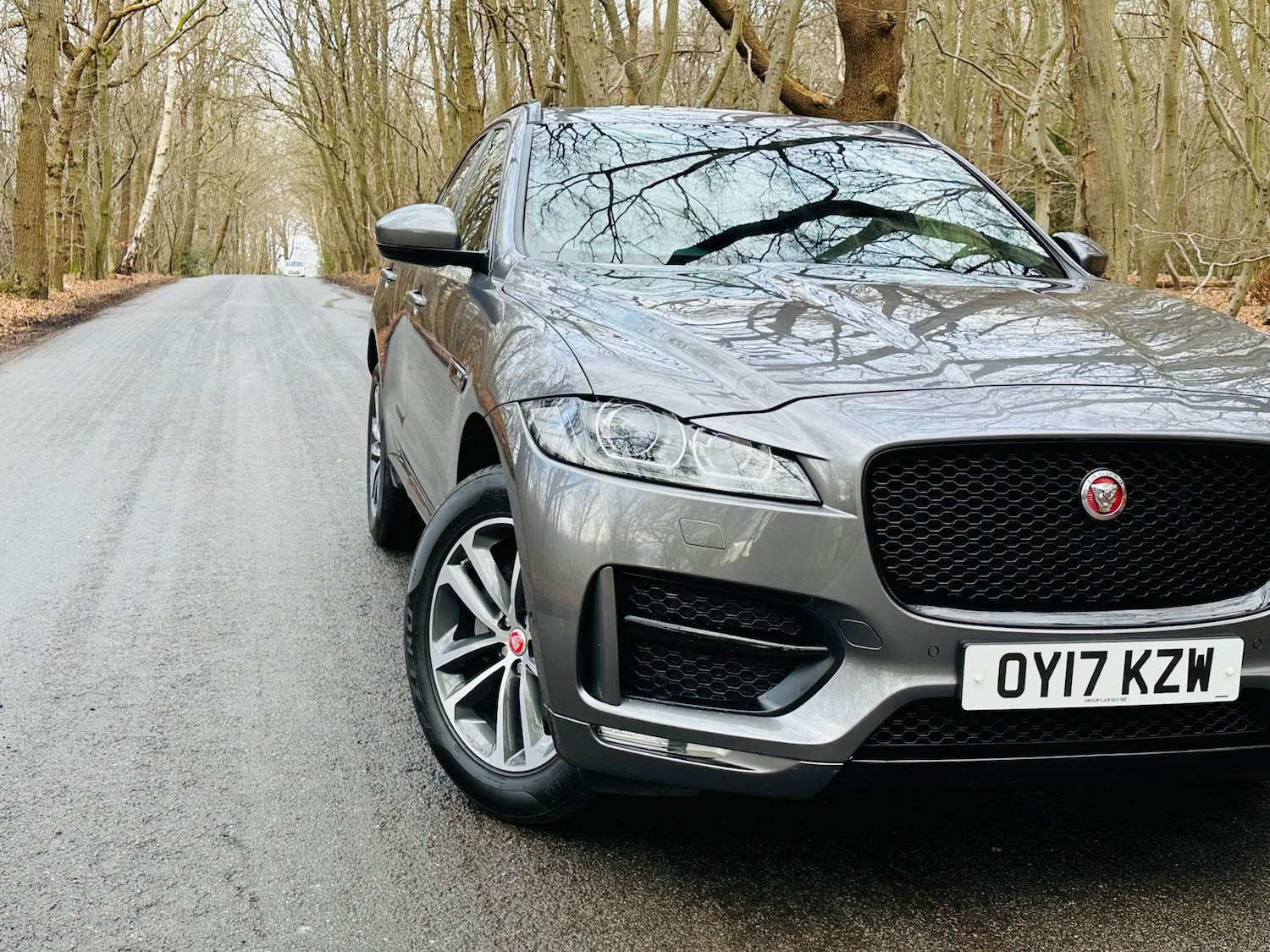 Used Jaguar F-Pace 2017 for sale - 77235359: Photo 2