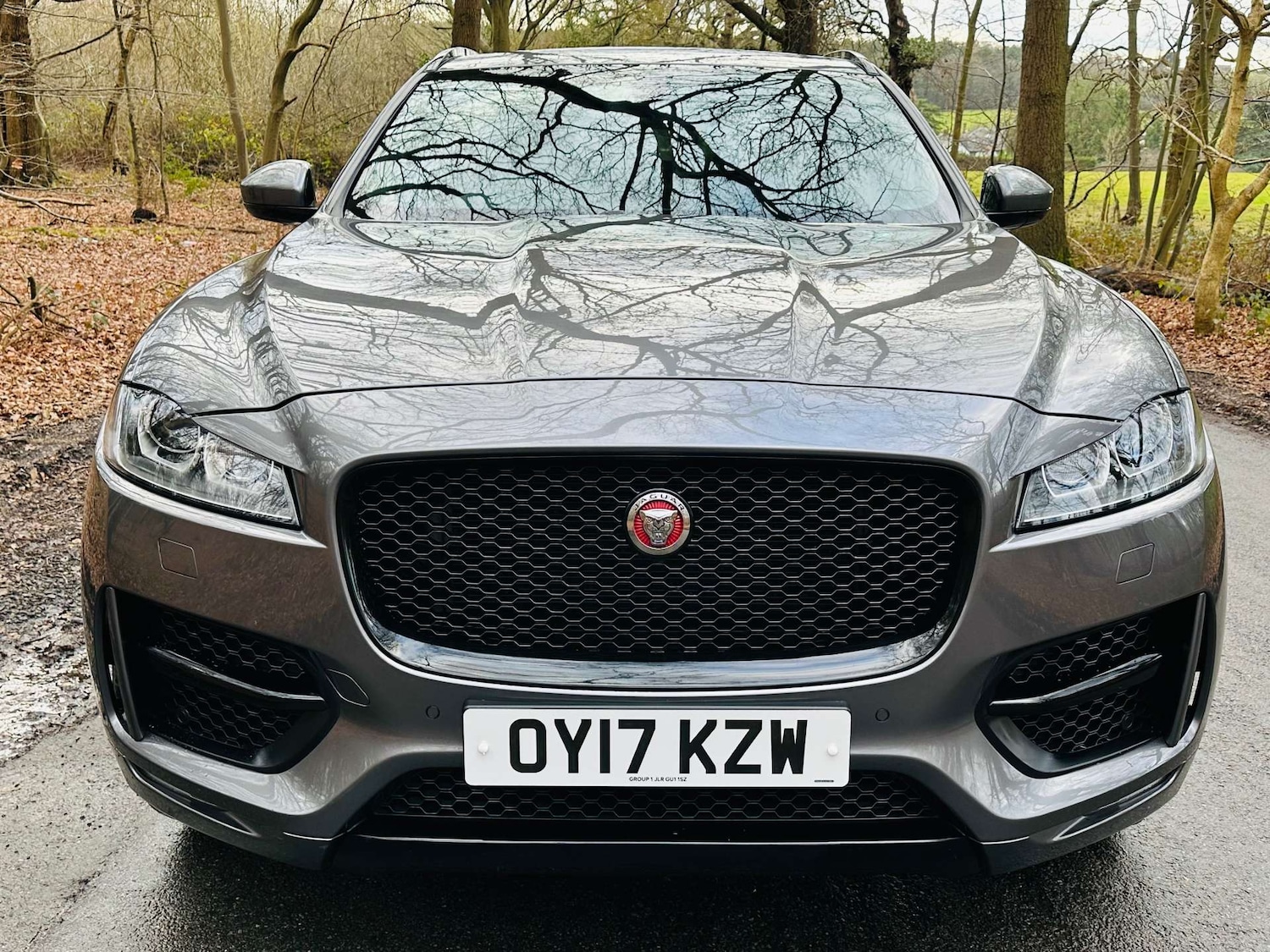 Used Jaguar F-Pace 2017 for sale - 77235359: Photo 26