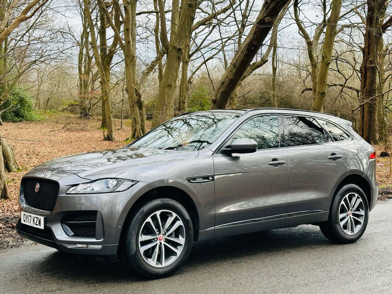 Used Jaguar F-Pace 2017 for sale - 77235359: Photo 29