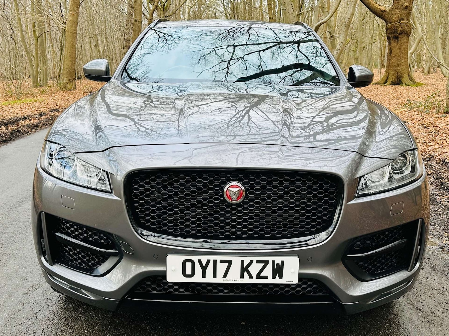 Used Jaguar F-Pace 2017 for sale - 77235359: Photo 3