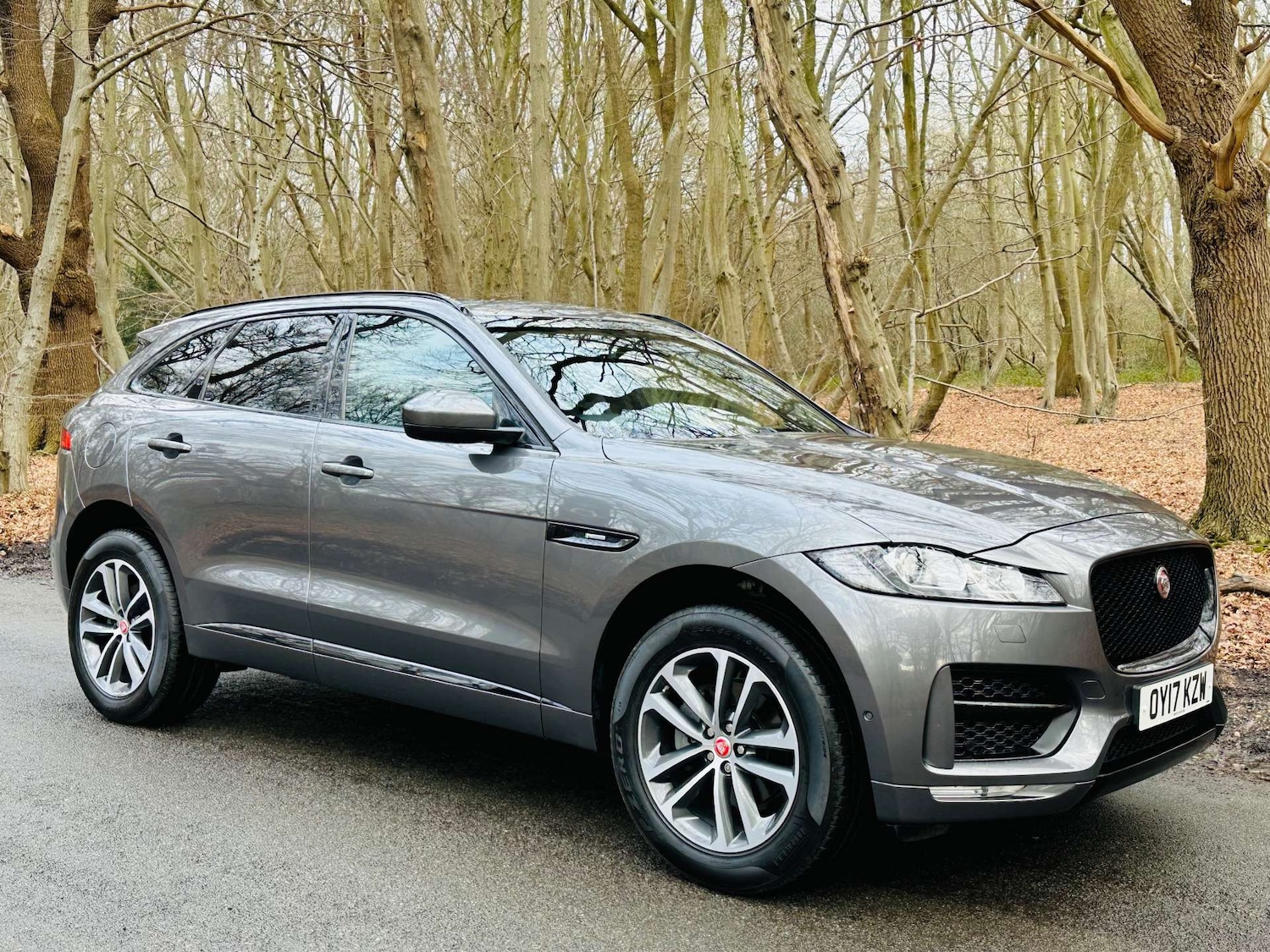 Used Jaguar F-Pace 2017 for sale - 77235359: Photo 46