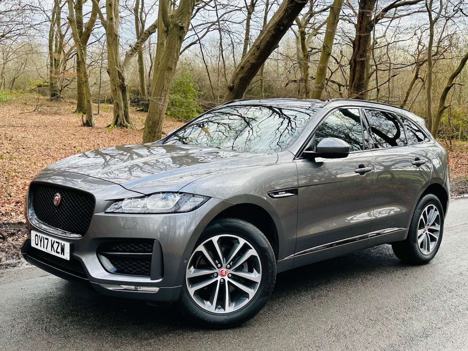 Used Jaguar F-Pace 2017 for sale - 77235359: Photo 52