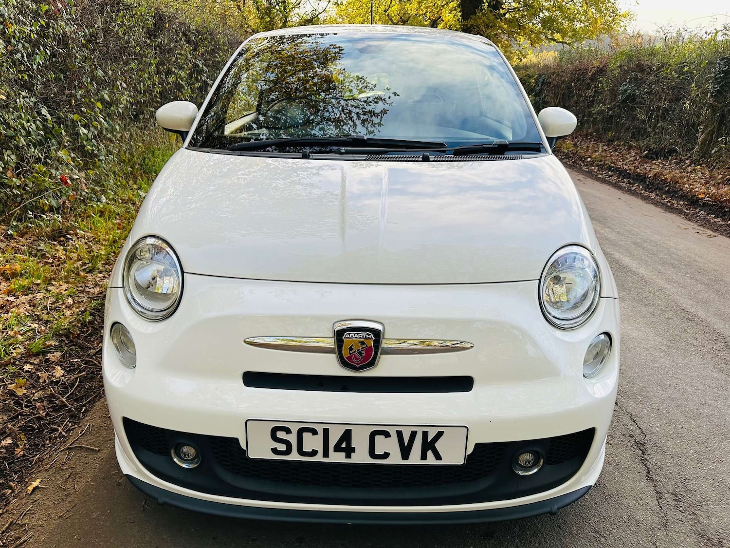 Used Abarth 500 2014 for sale - 76637970: Photo 26