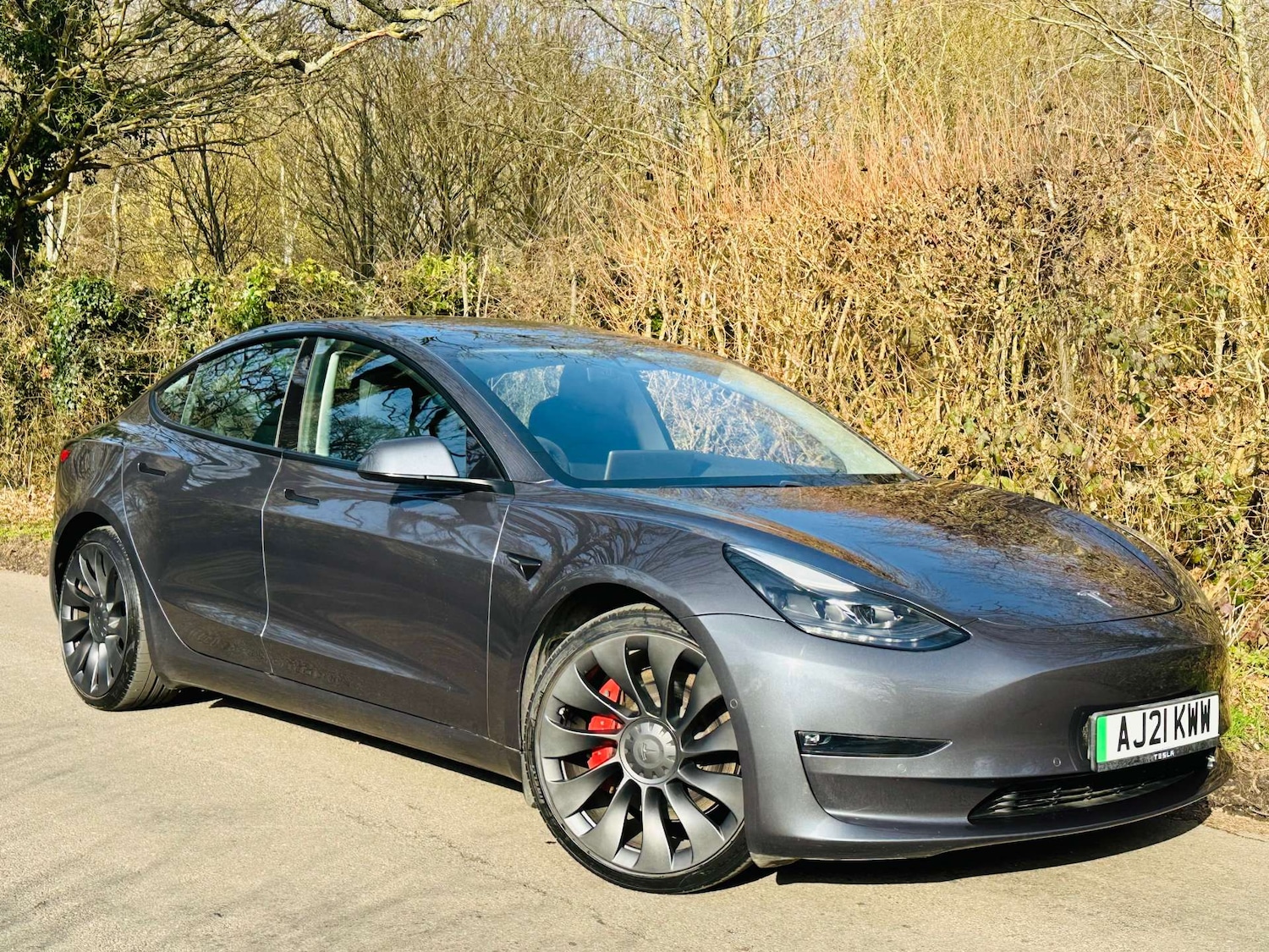 Used Tesla Model 3 2021 for sale - 77667870: Photo 1