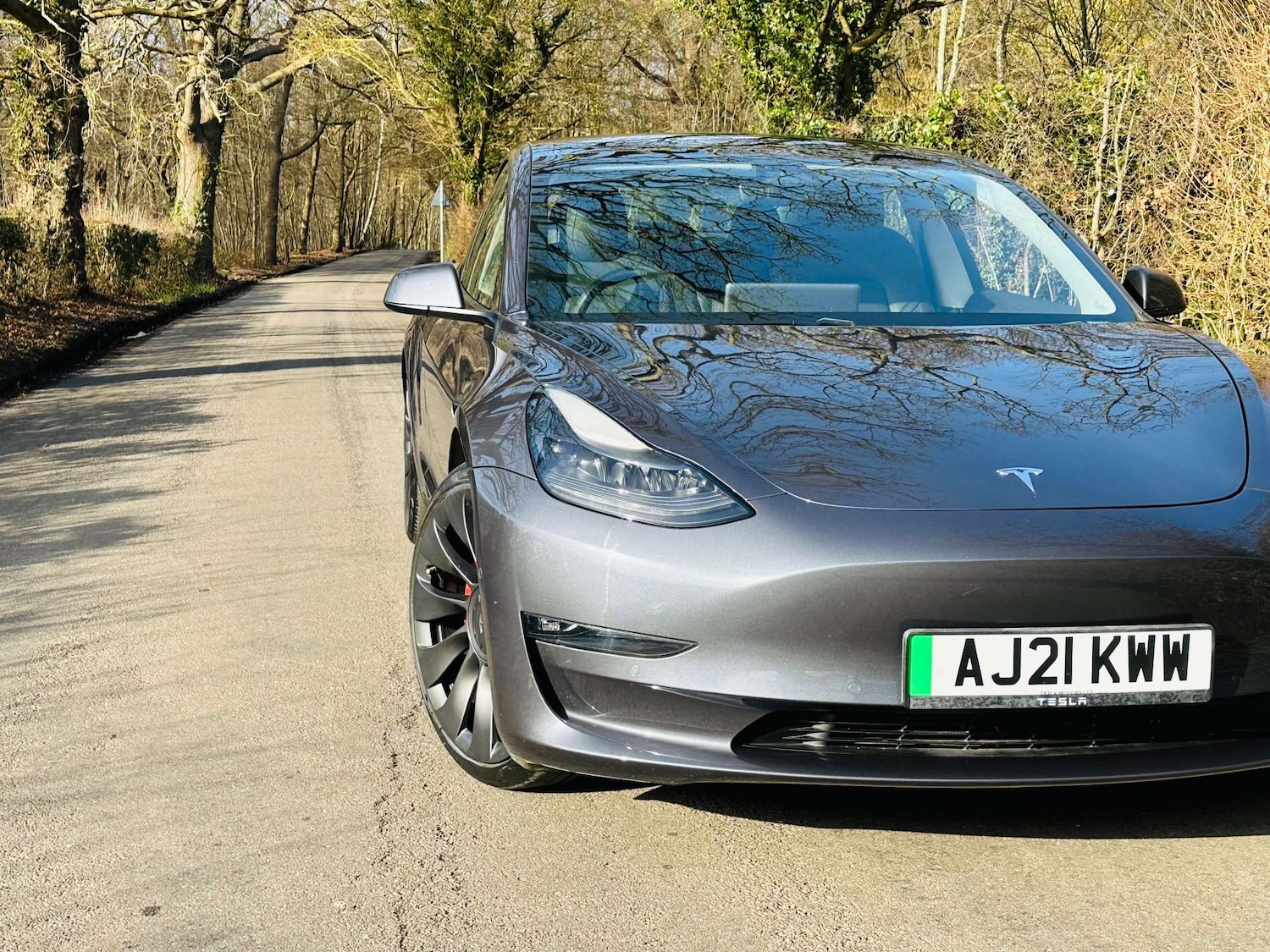 Used Tesla Model 3 2021 for sale - 77667870: Photo 2