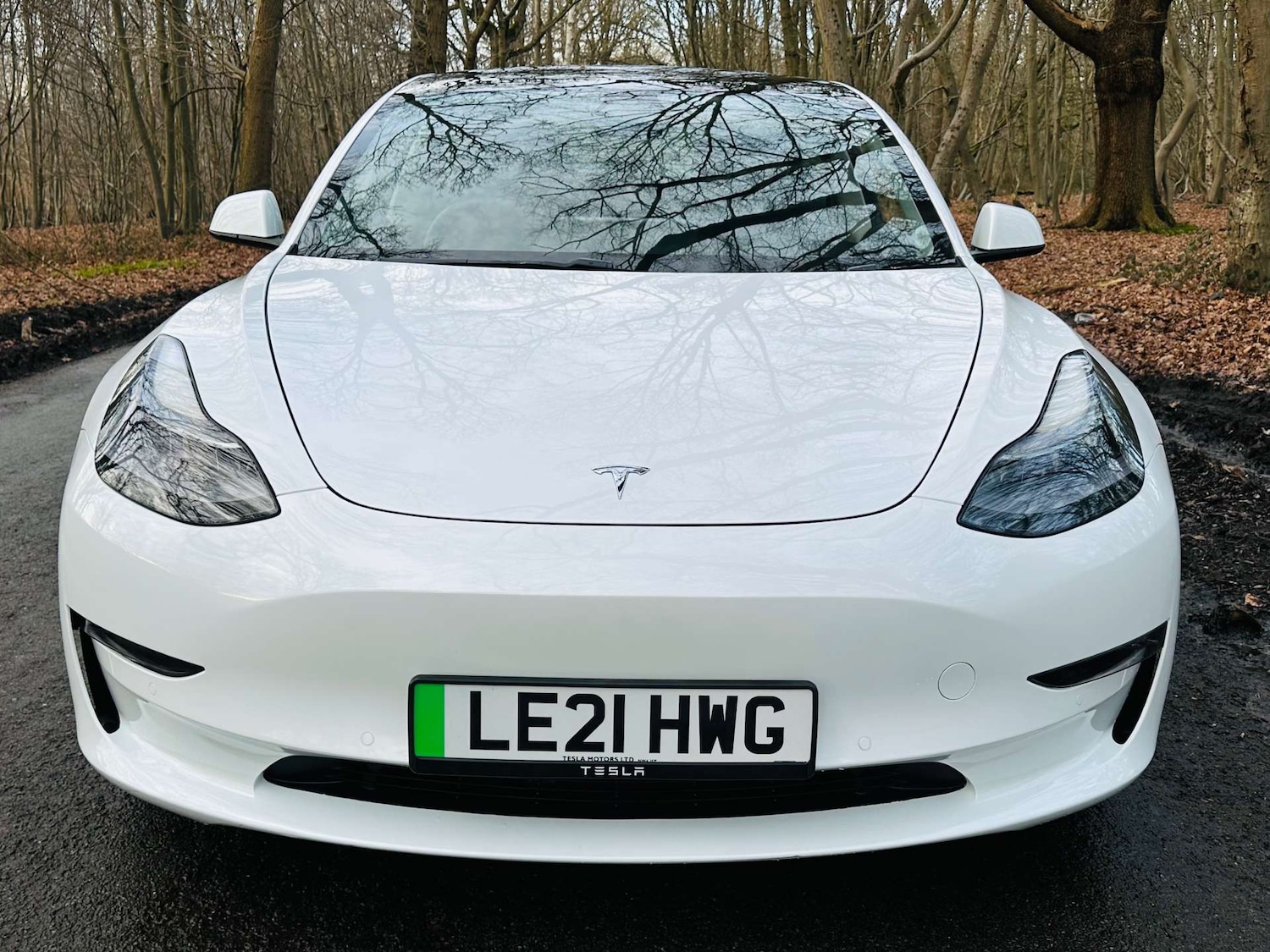 Used Tesla Model 3 2021 for sale - 77523292: Photo 3