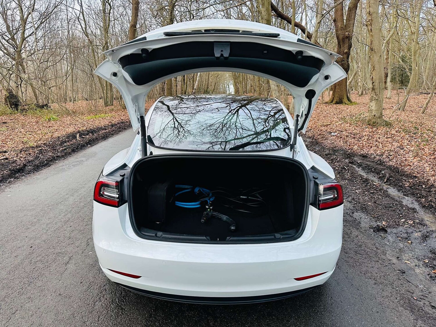 Used Tesla Model 3 2021 for sale - 77523292: Photo 35