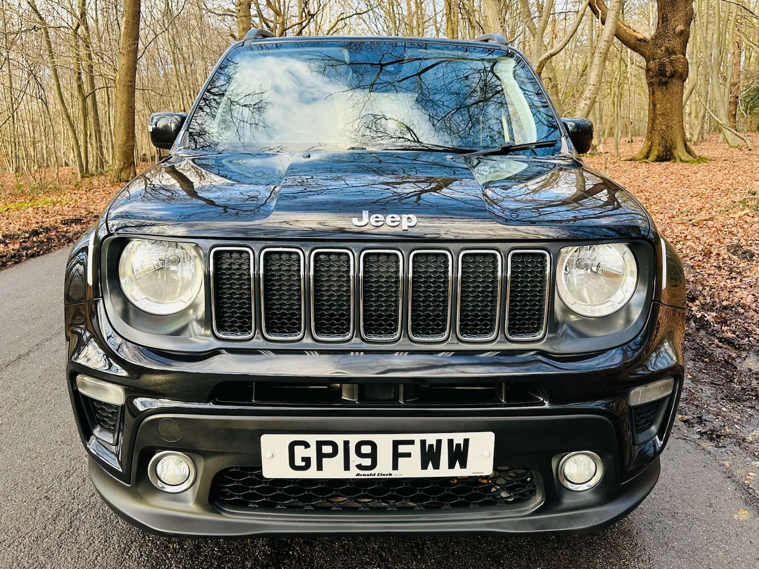Used Jeep Renegade 2019 for sale - 77227759: Photo 3