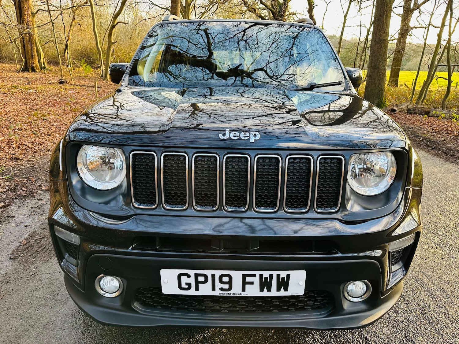 Used Jeep Renegade 2019 for sale - 77227759: Photo 48