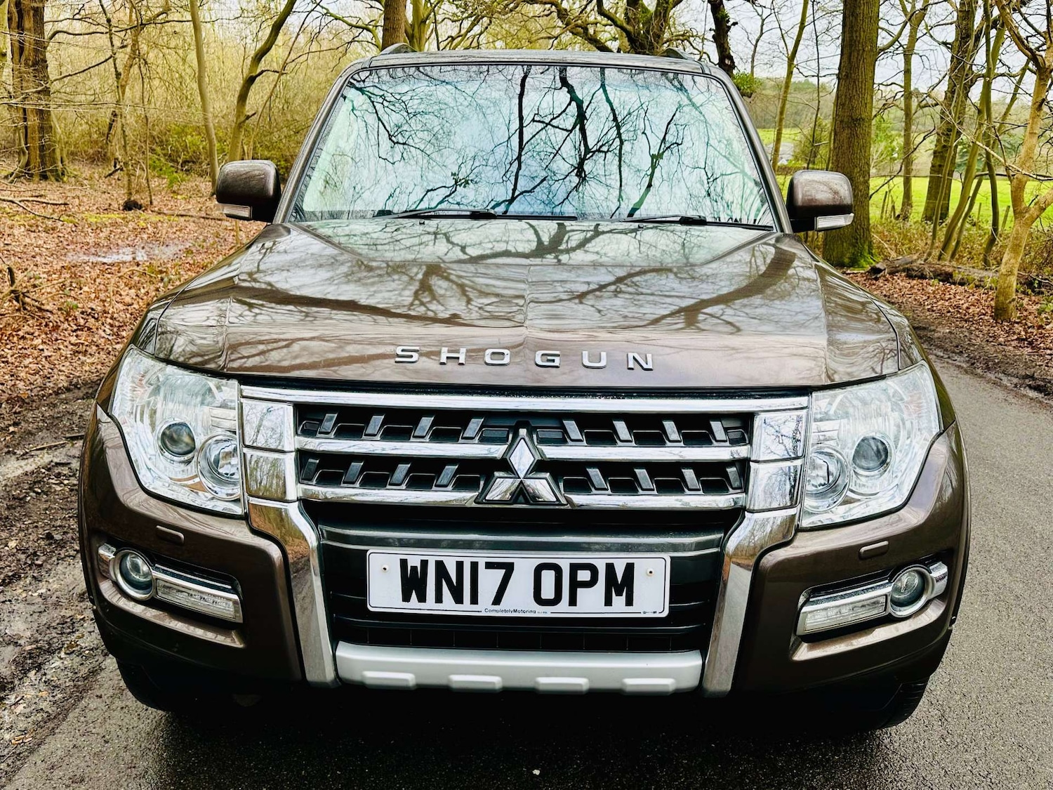 Used Mitsubishi Shogun 2017 for sale - 78171855: Photo 29