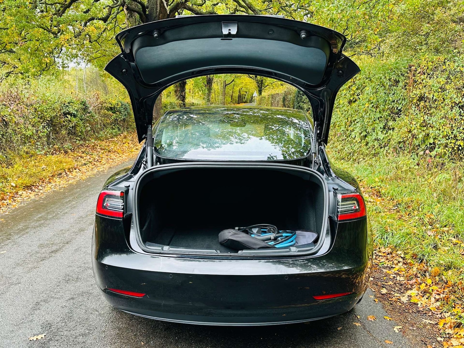 Used Tesla Model 3 2021 for sale - 76354250: Photo 31