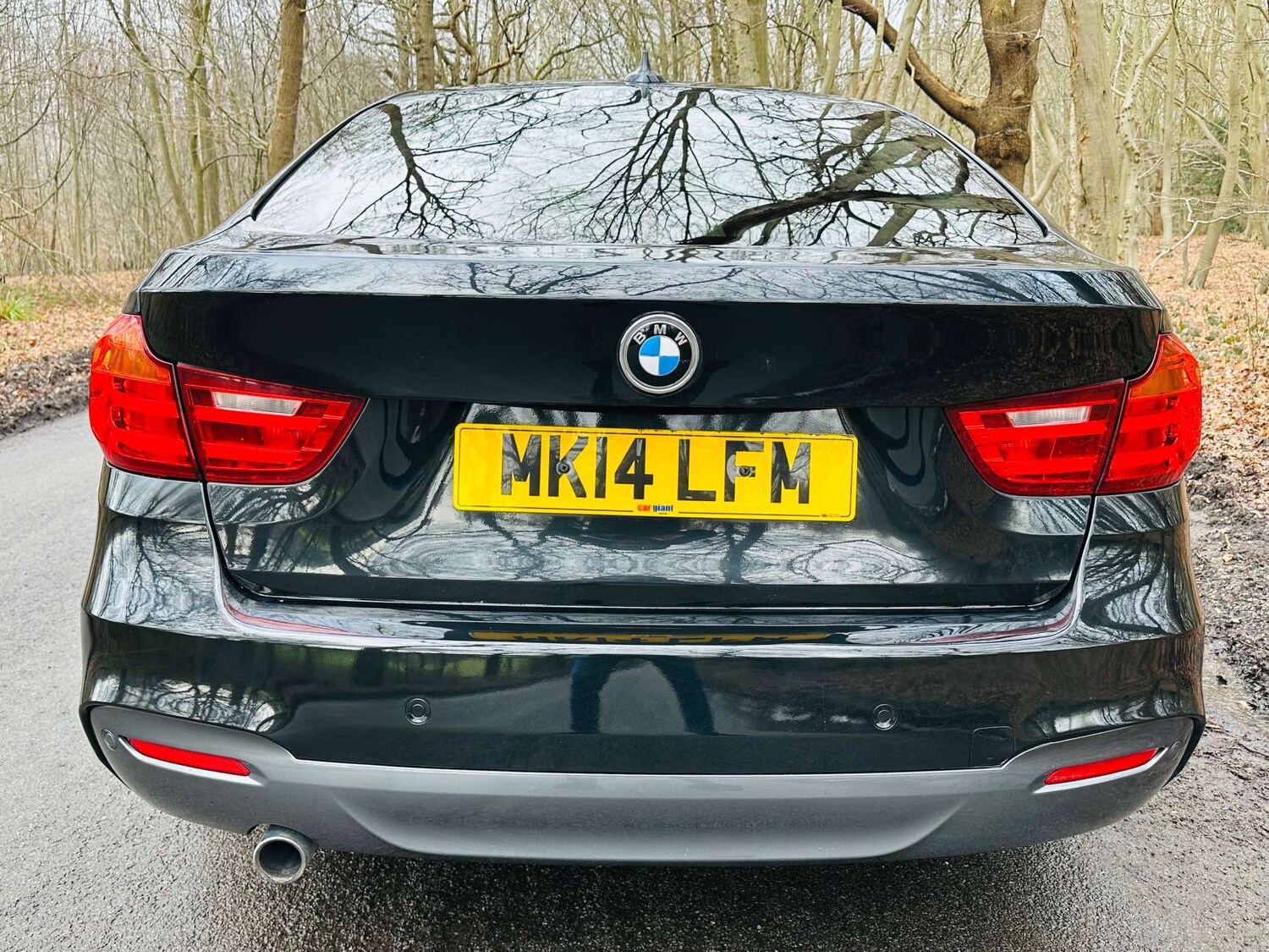 Used BMW 3 Series 2014 for sale - 77931981: Photo 31