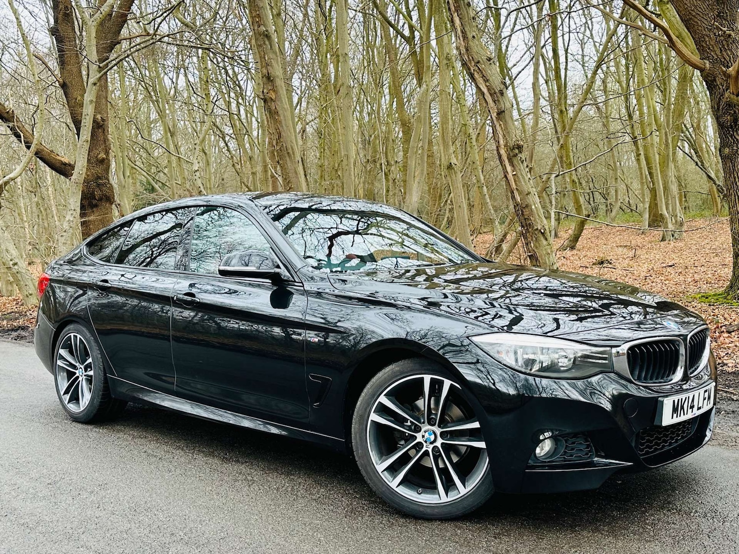 Used BMW 3 Series 2014 for sale - 77931981: Photo 5