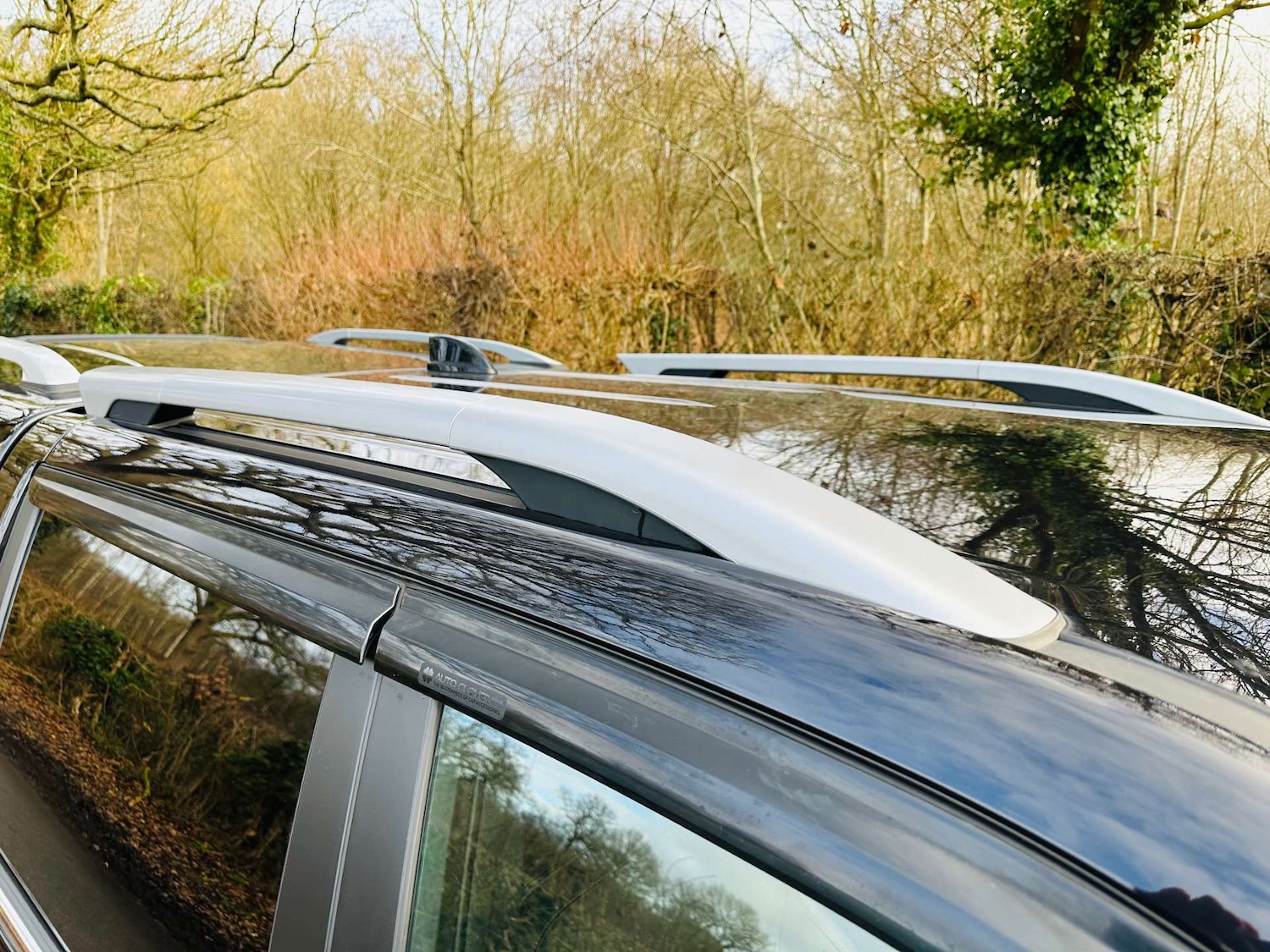 Used Ssangyong Musso 2022 for sale - 77650539: Photo 44