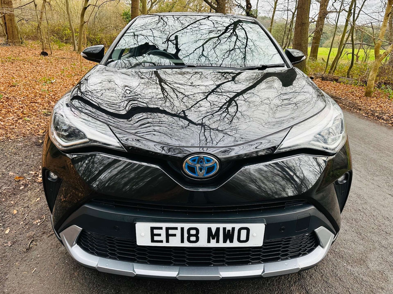 Used Toyota C-HR 2018 for sale - 76923109: Photo 25
