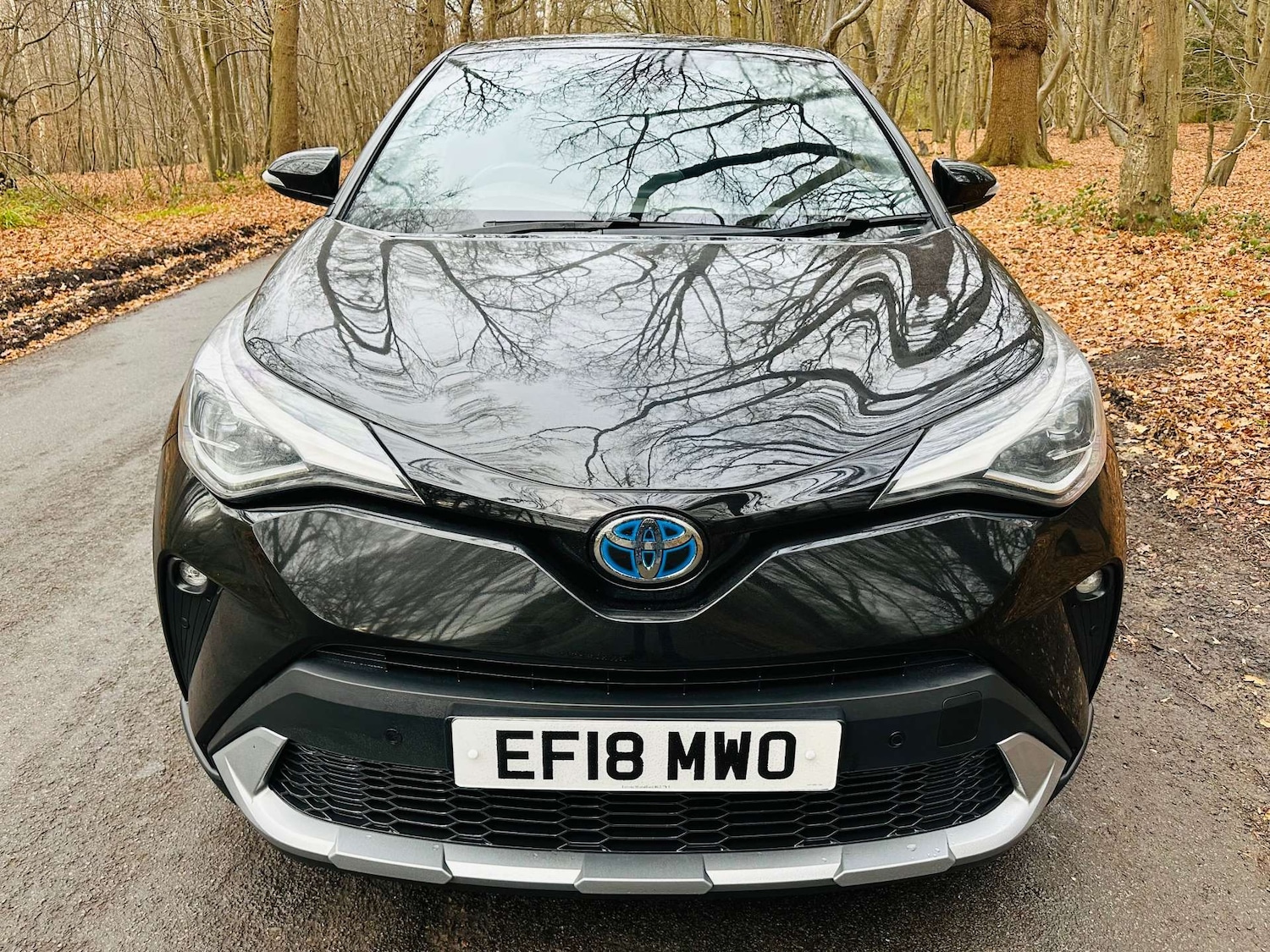 Used Toyota C-HR 2018 for sale - 76923109: Photo 3
