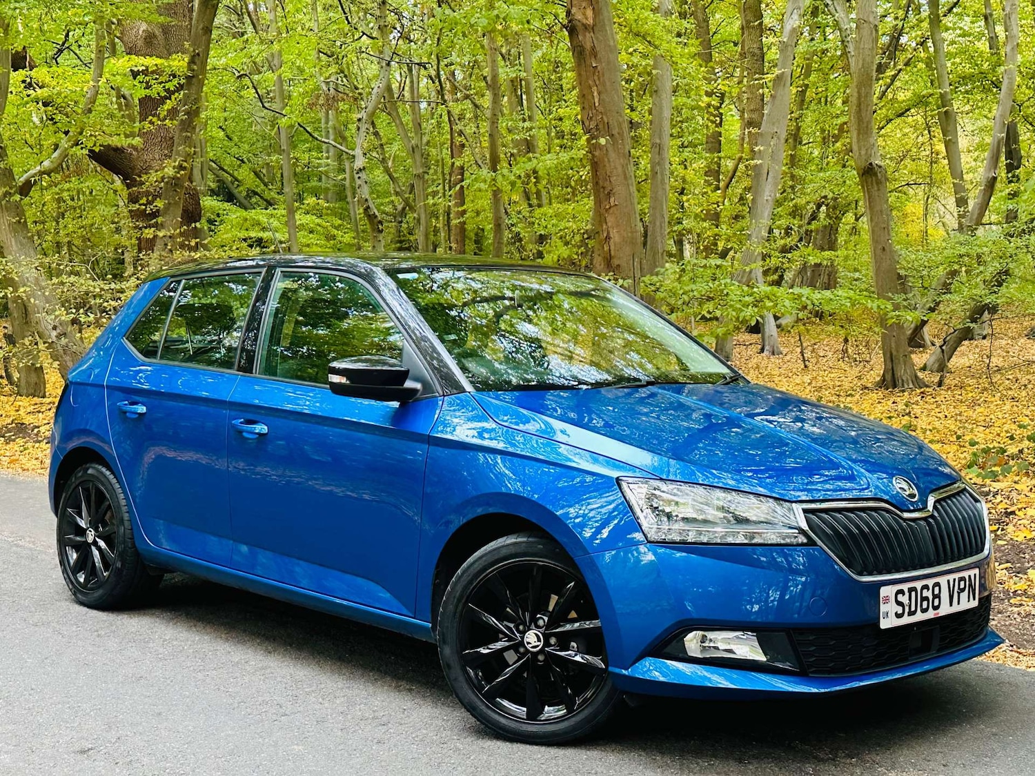 Used Skoda Fabia 2018 for sale - 76225419: Photo 1
