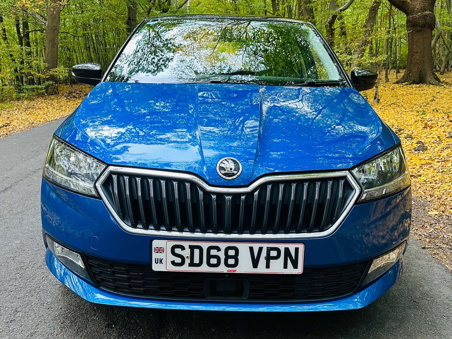 Used Skoda Fabia 2018 for sale - 76225419: Photo 3
