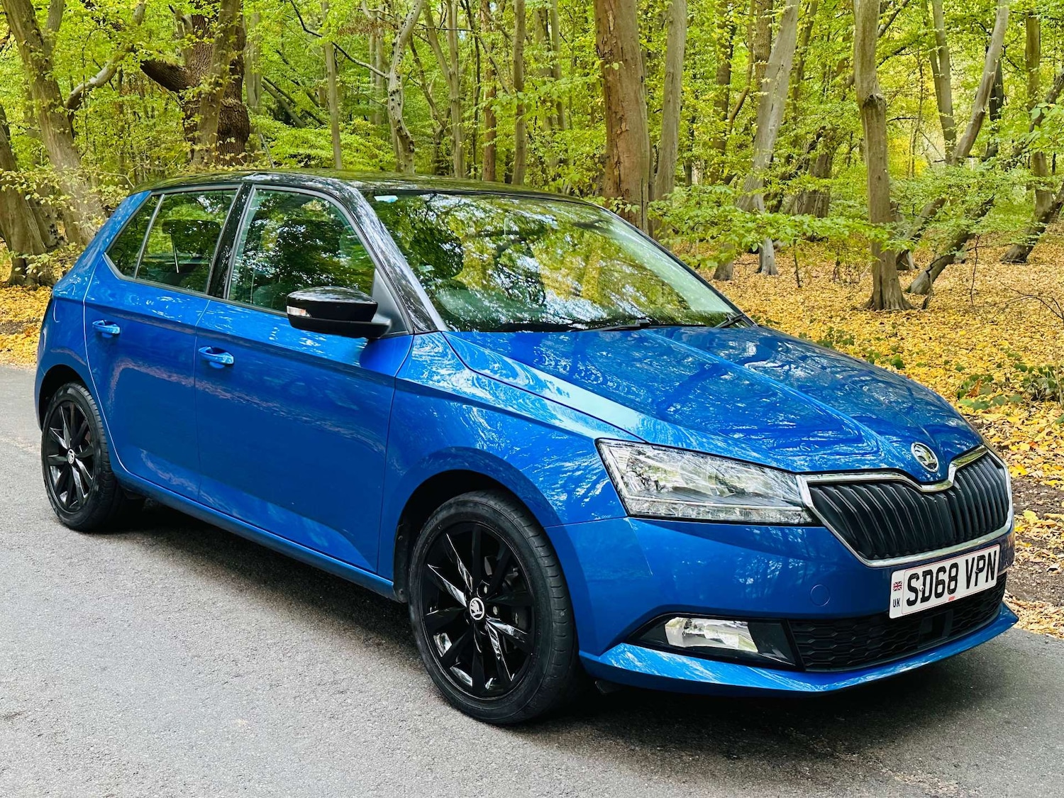 Used Skoda Fabia 2018 for sale - 76225419: Photo 41