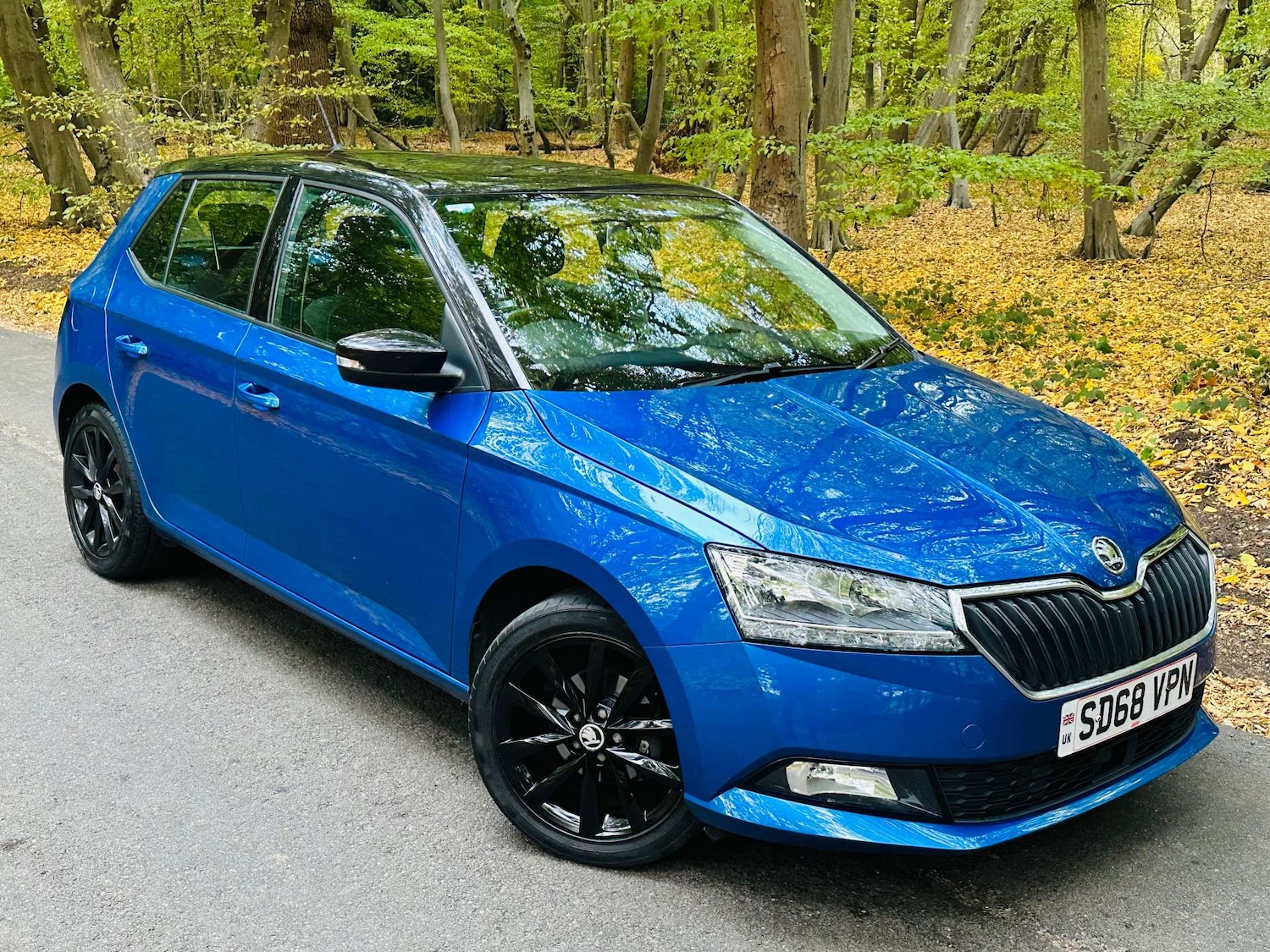 Used Skoda Fabia 2018 for sale - 76225419: Photo 44