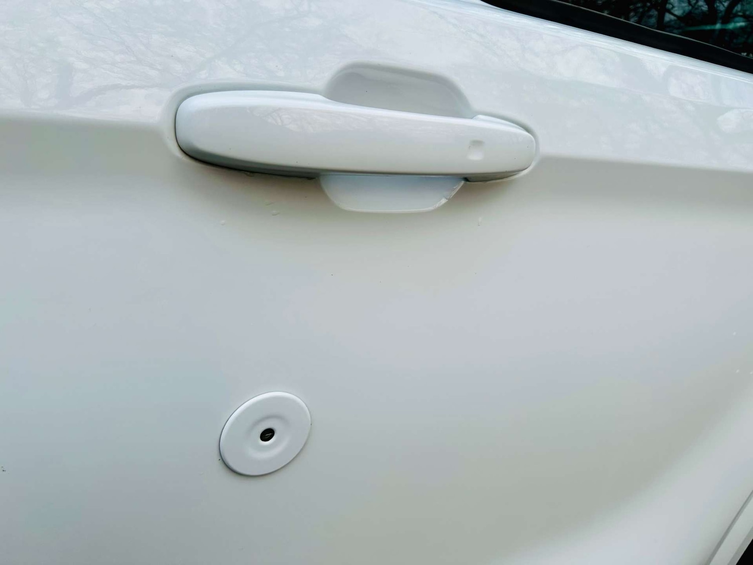 Used Ford Transit Custom 2024 for sale - 77200693: Photo 42