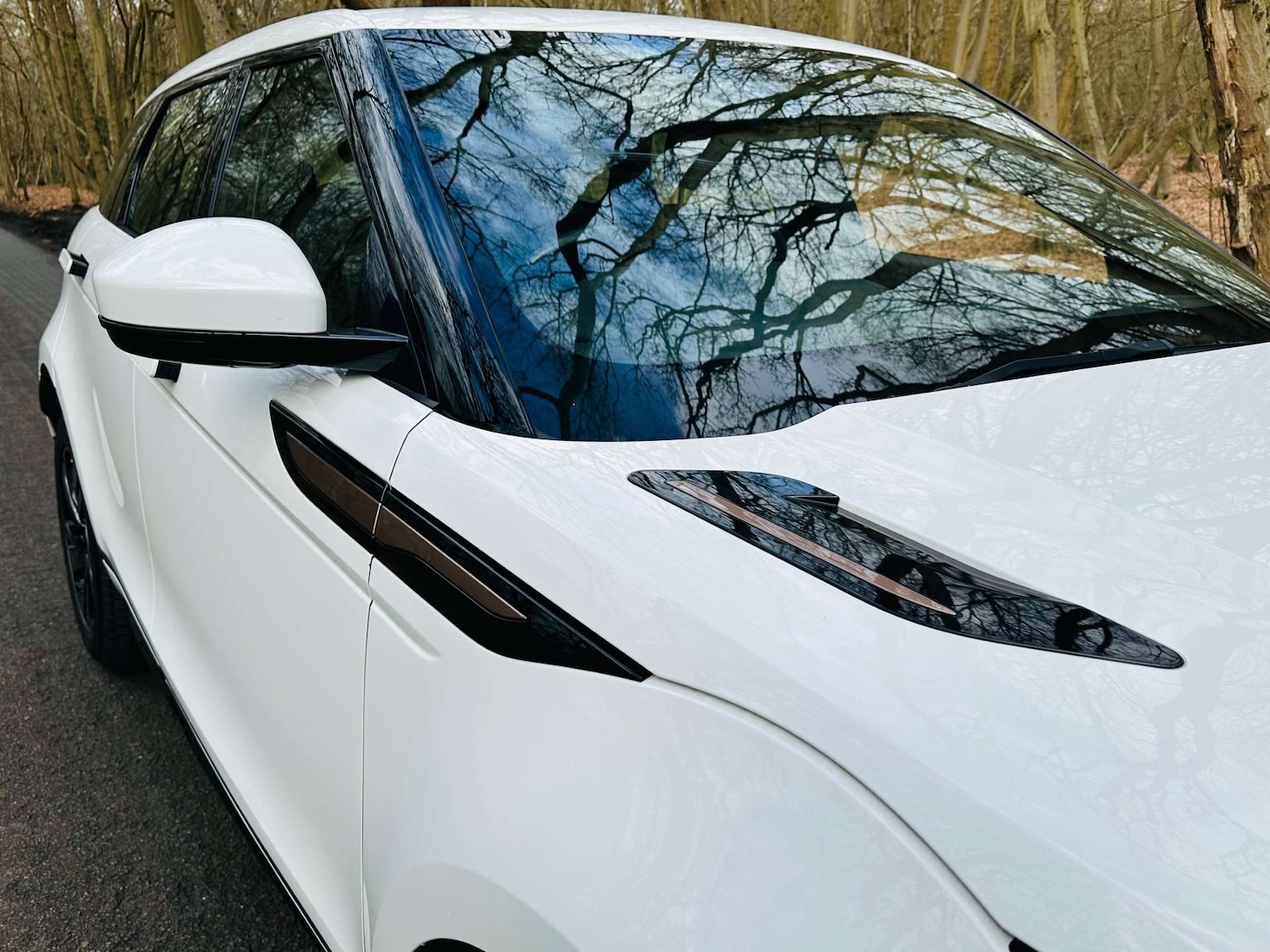 Used Land Rover Range Rover Evoque 2019 for sale - 78171880: Photo 48