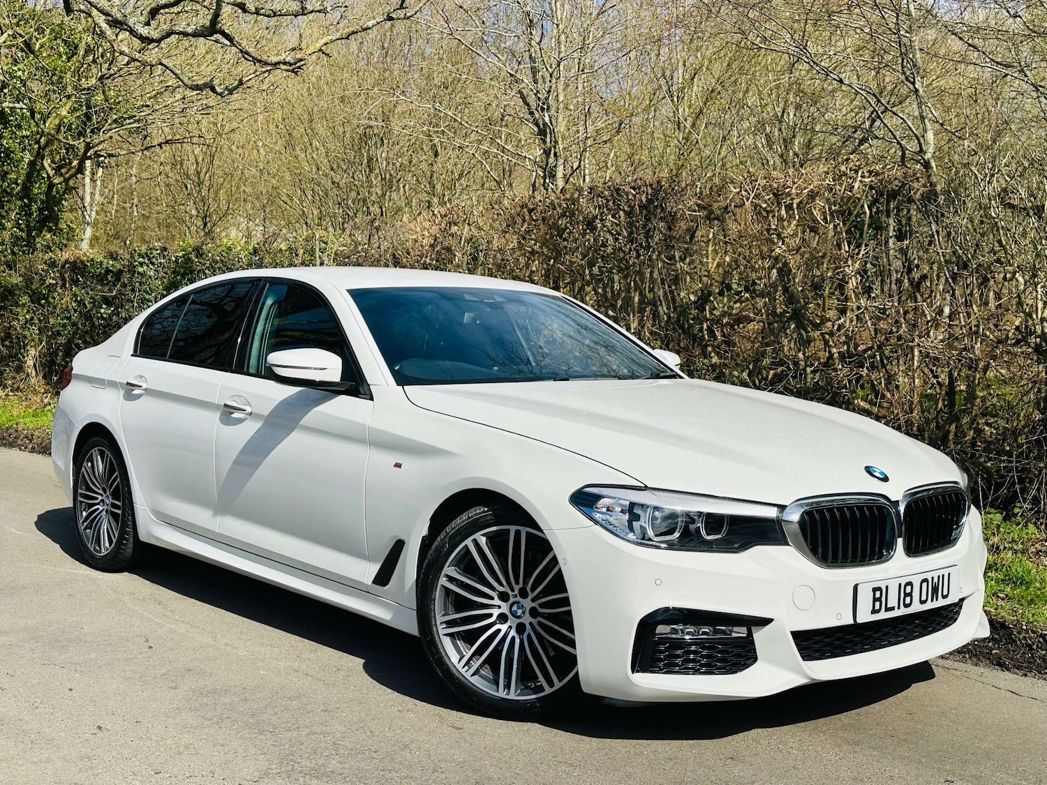 Used BMW 5 Series 2018 for sale - 77917734: Photo 49