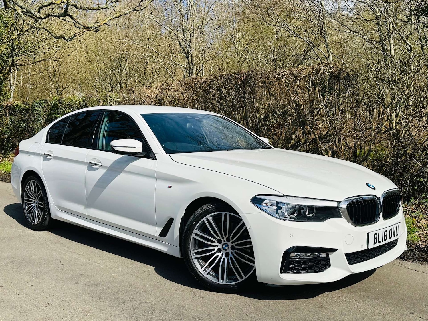 Used BMW 5 Series 2018 for sale - 77917734: Photo 5