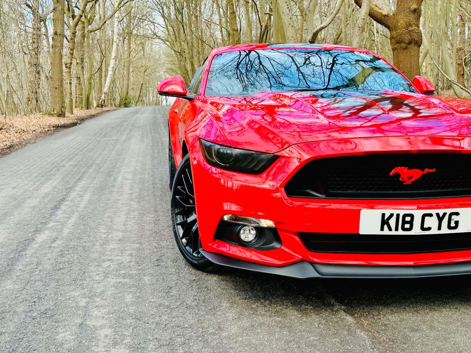 Used Ford Mustang 2018 for sale - 77261398: Photo 2