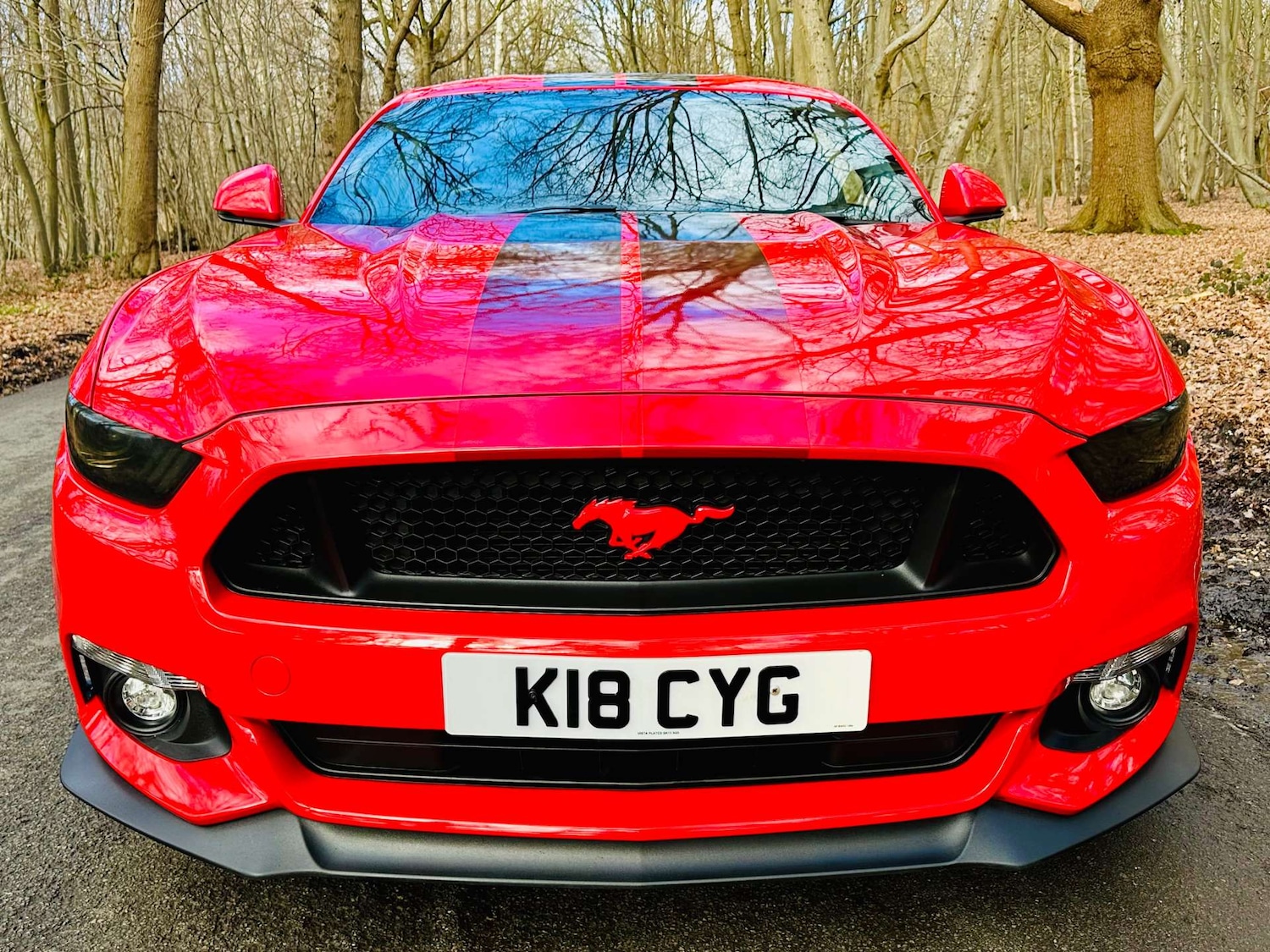 Used Ford Mustang 2018 for sale - 77261398: Photo 3