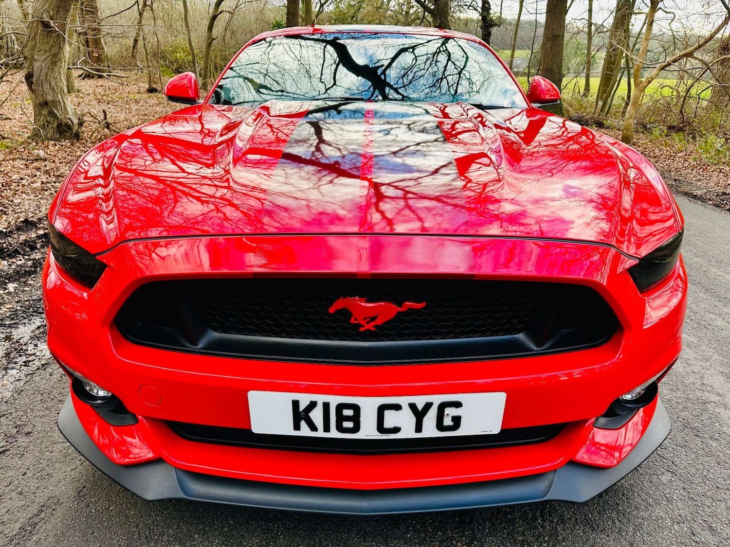 Used Ford Mustang 2018 for sale - 77261398: Photo 31