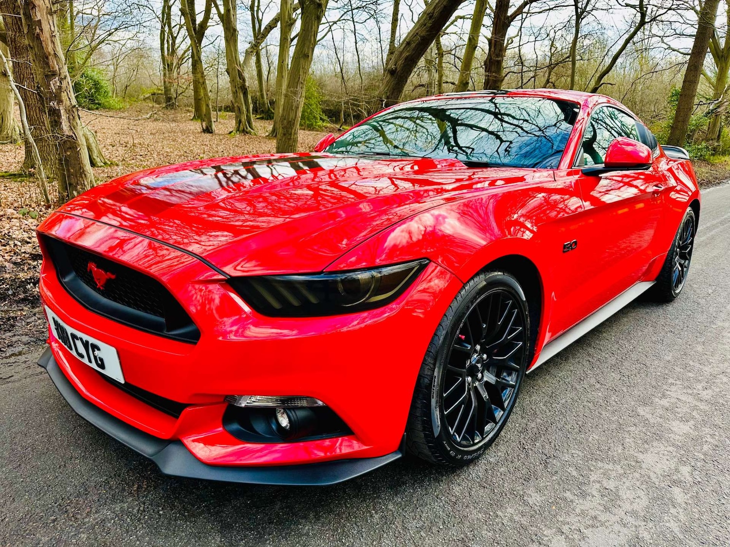 Used Ford Mustang 2018 for sale - 77261398: Photo 32
