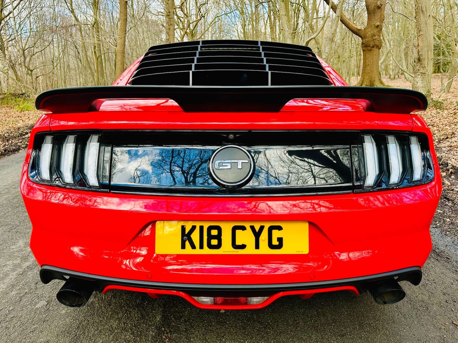 Used Ford Mustang 2018 for sale - 77261398: Photo 43